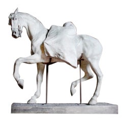 A French Nineteenth Century Plaster Horse