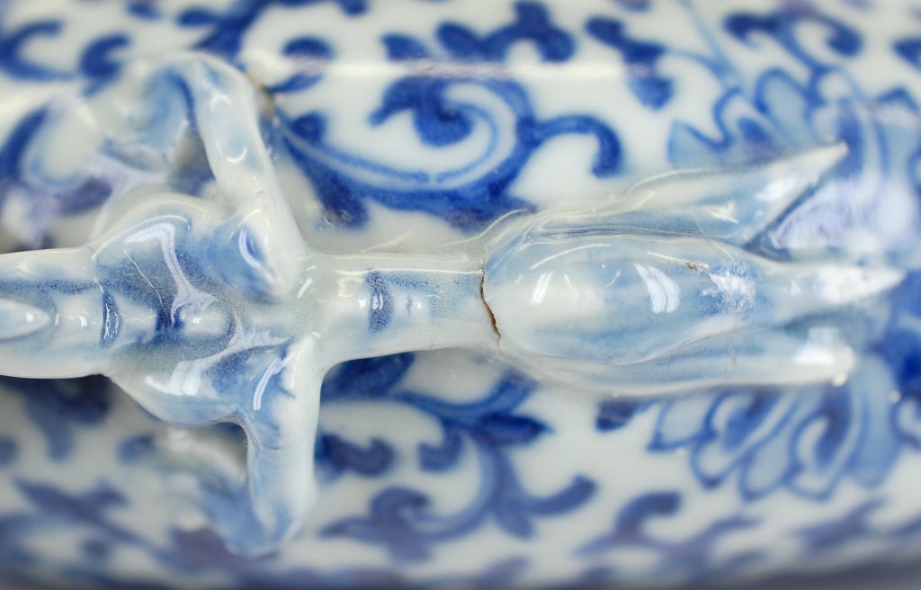 Antique Chinese Blue & White Moon Flask 3