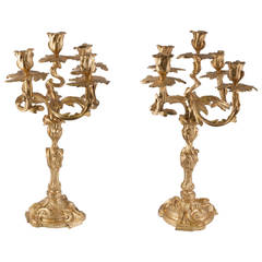 Pair of Rococo Style French Bronze Candelabra
