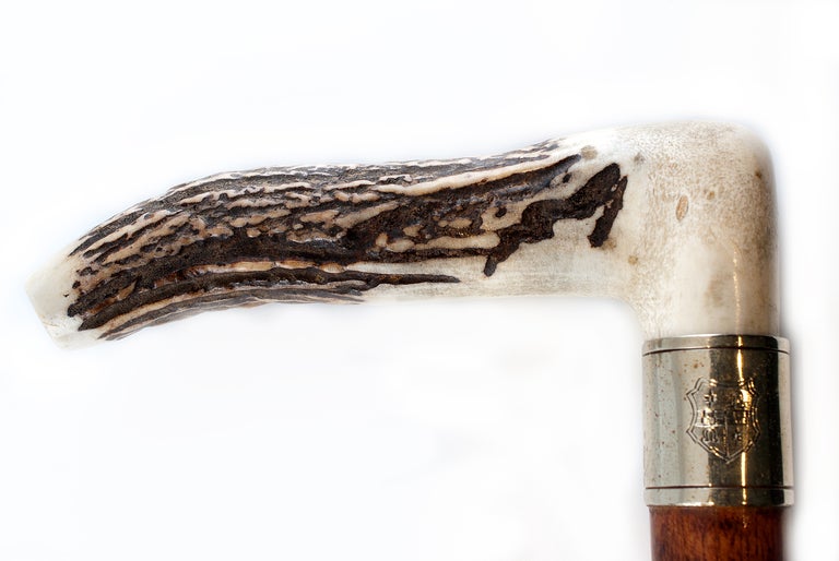 walking stick with concealed horse measure