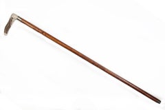 walking stick with concealed horse measure