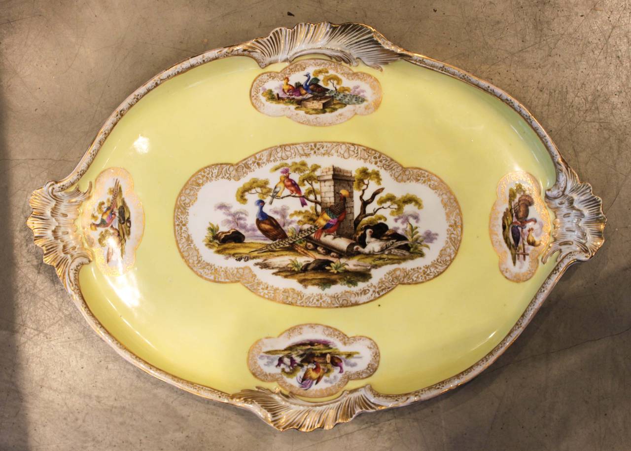 Yellow Meissen ornithological tray, German porcelain in original condition. Beautifully painted with stunning detail. Marked on back. 

17.5