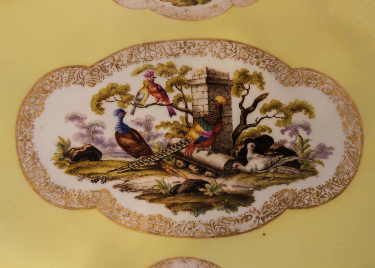 Meissen Ornithological Tray In Excellent Condition In Vancouver, BC