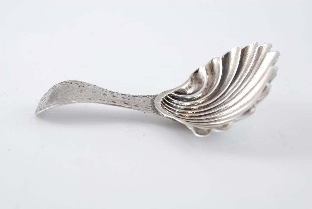 Geo lll sterling tea caddy spoon in shell form. Maker: Hester Bateman