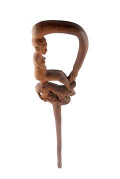 African walking stick.