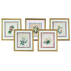 Five Water Colors; framed by Follower of Pierre-Joseph Redoute