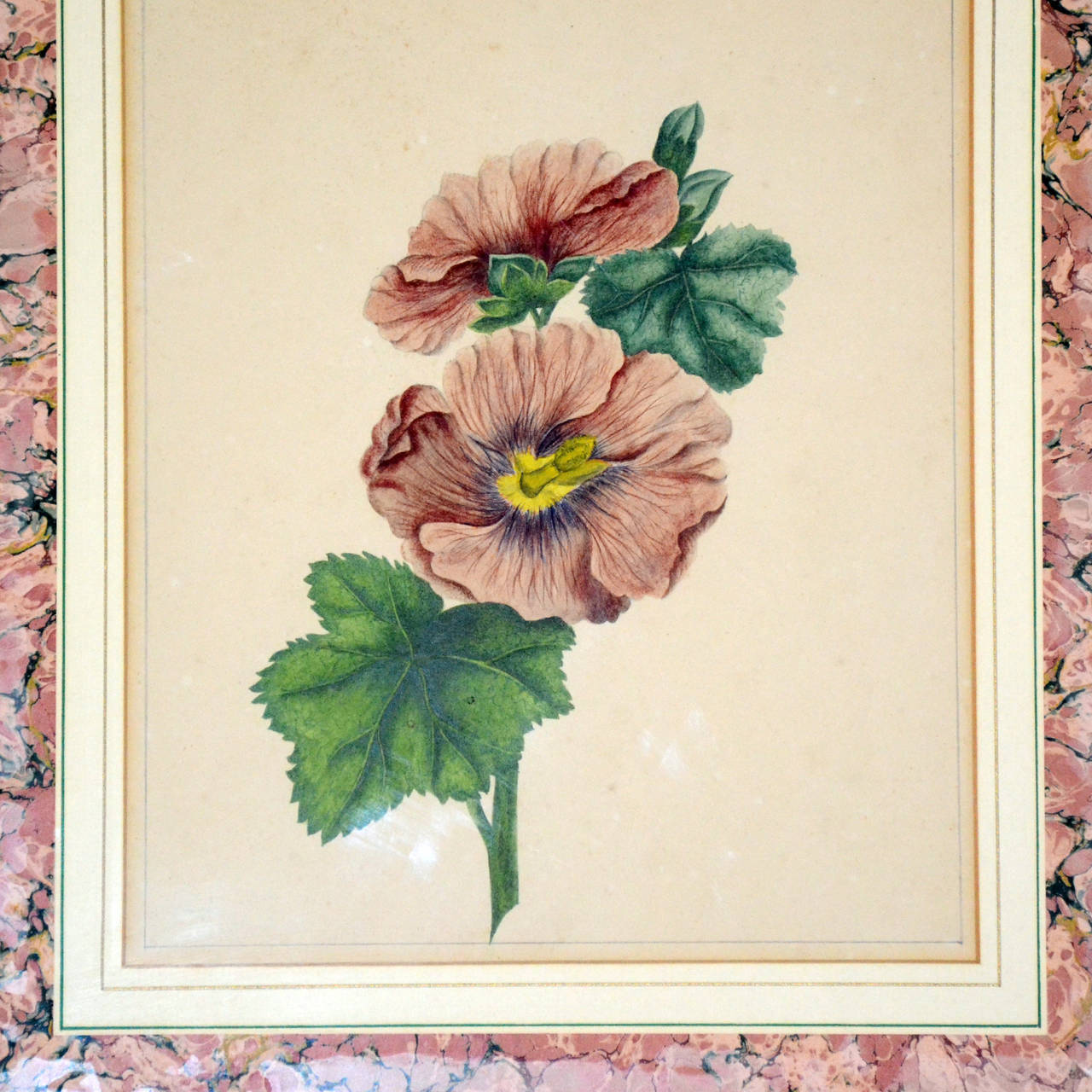 Exquisite group of five fruit and flower, beautifully framed watercolors on rag paper. All are beautifully framed with lined and marbleized mats in fine frames under glass. I date these to the mid nineteenth century. One was un-framed and fully