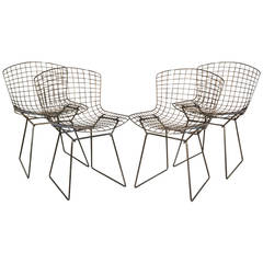 Set of Four Newly Refinished Bertoia Dining Chairs for Knoll 1