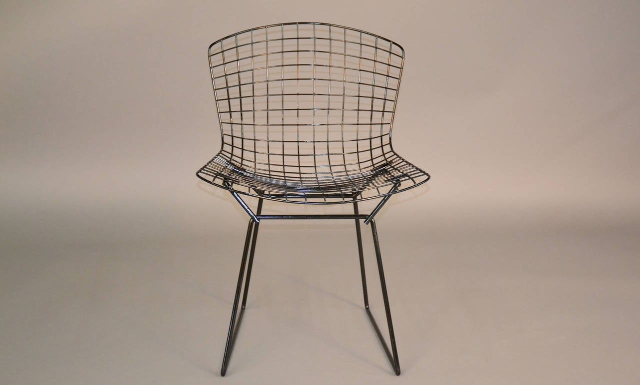 Mid-Century Modern Set of Four Newly Refinished Bertoia Dining Chairs for Knoll