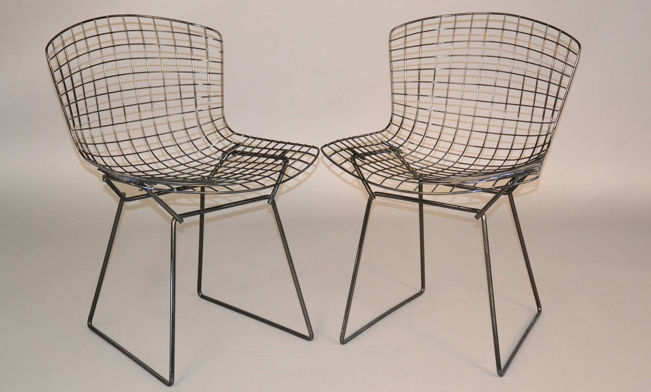 Late 20th Century Set of Four Newly Refinished Bertoia Dining Chairs for Knoll