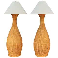 Wicker Floor Lamps