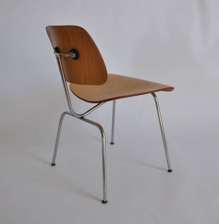 Two early DCM  bentwood chairs by Charles and Ray Eames, early Herman Miller from 1951/1952.