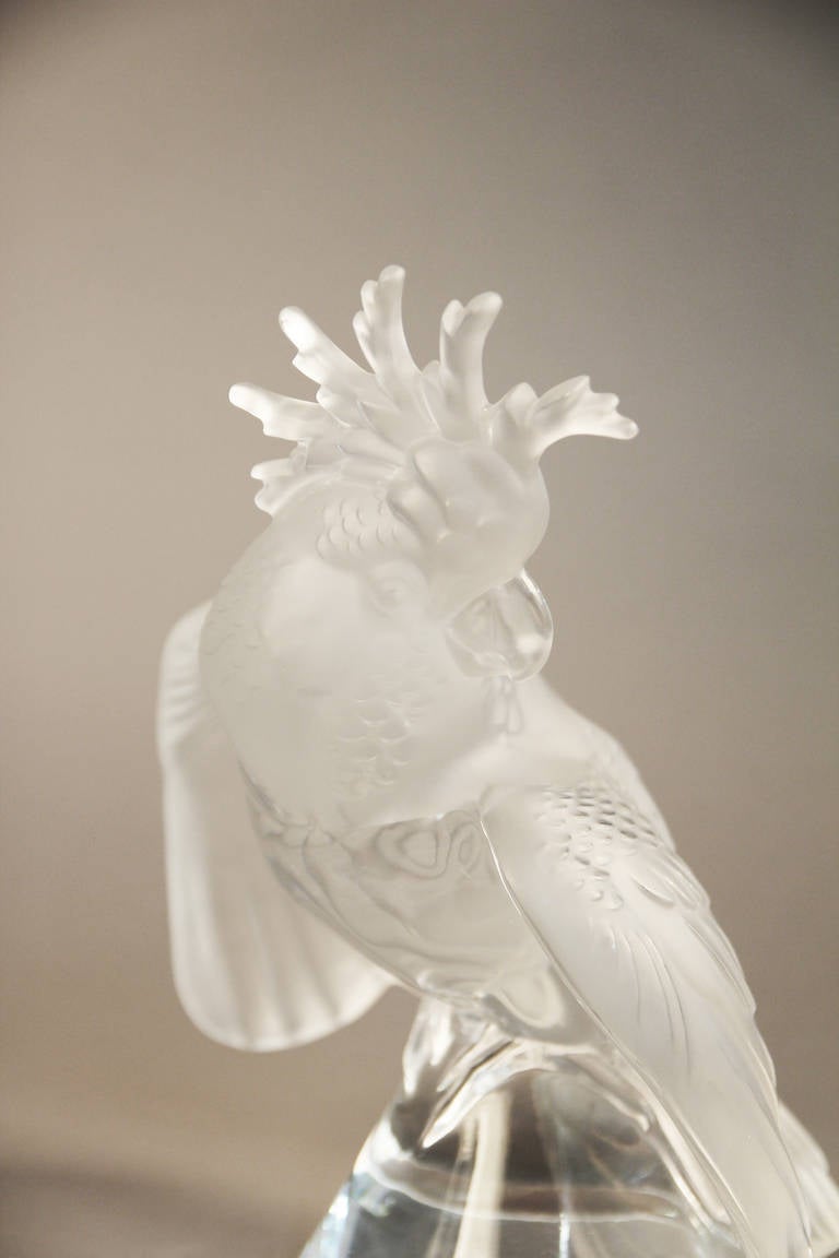 Lalique Crystal Cockatoo