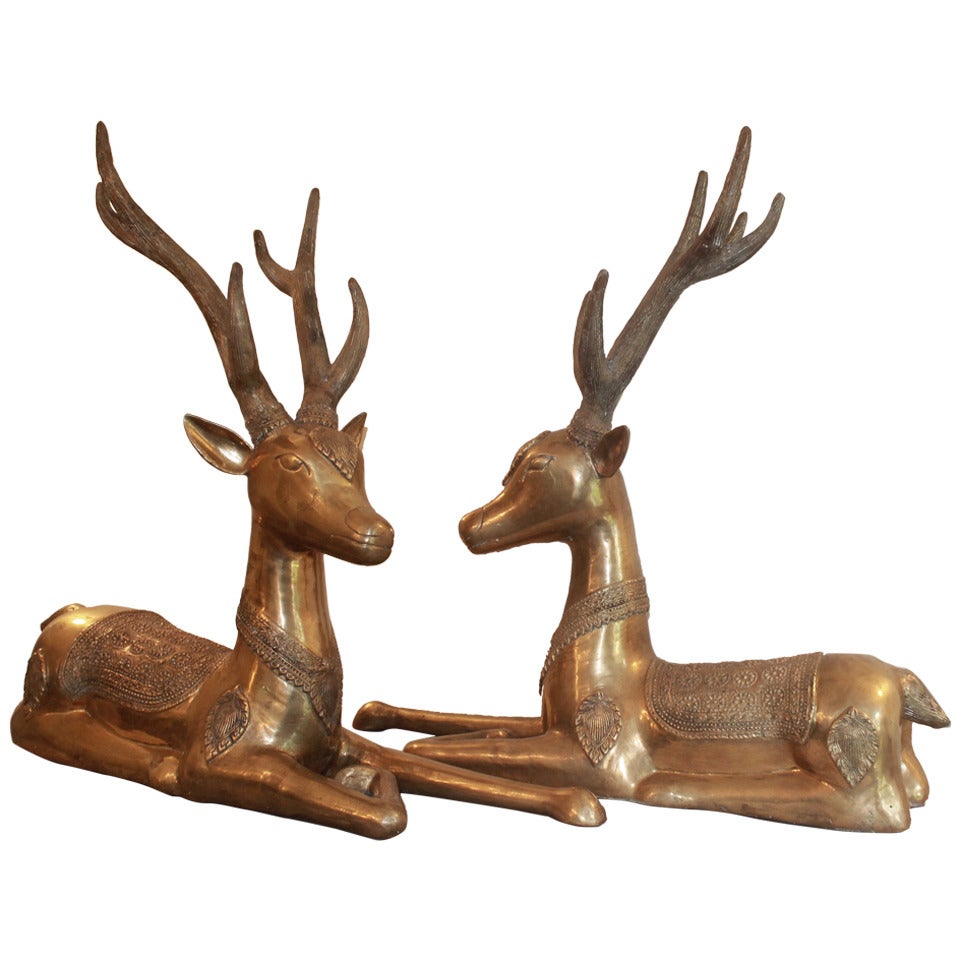 Paire de grands cerfs couchés en bronze doré en vente