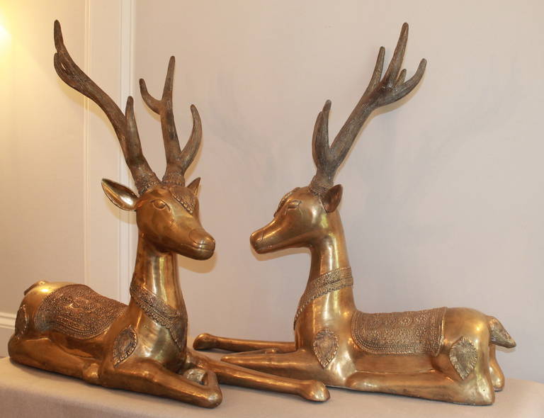 Exceptionnelle qualité, lourde forme de cerf en bronze doré avec de grands bois (peut-être un renne).