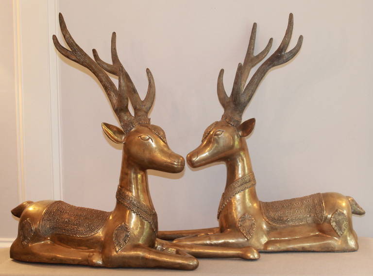 Thaïlandais Paire de grands cerfs couchés en bronze doré en vente