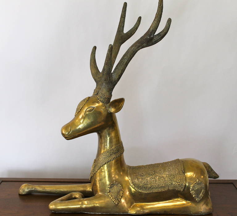 Paire de grands cerfs couchés en bronze doré Excellent état - En vente à Bridport, CT