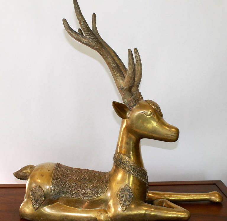 Milieu du XXe siècle Paire de grands cerfs couchés en bronze doré en vente