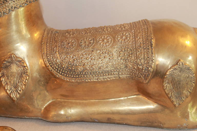 Bronze doré Paire de grands cerfs couchés en bronze doré en vente