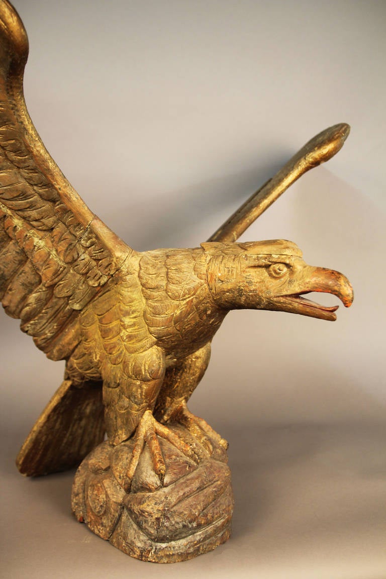 Exceptional lightly gilded, in original paint, pilot house eagle.  Beautifully carved with a 50 Inch wing span standing atop carved rock.  Truly and American Classic.
