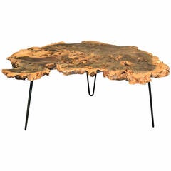 Buckeye Burl Wood Coffee Table with Hairpin Legs