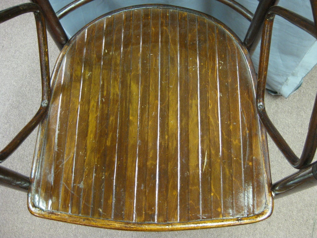 One or six original period Josef Hoffman Fledermaus chairs 1