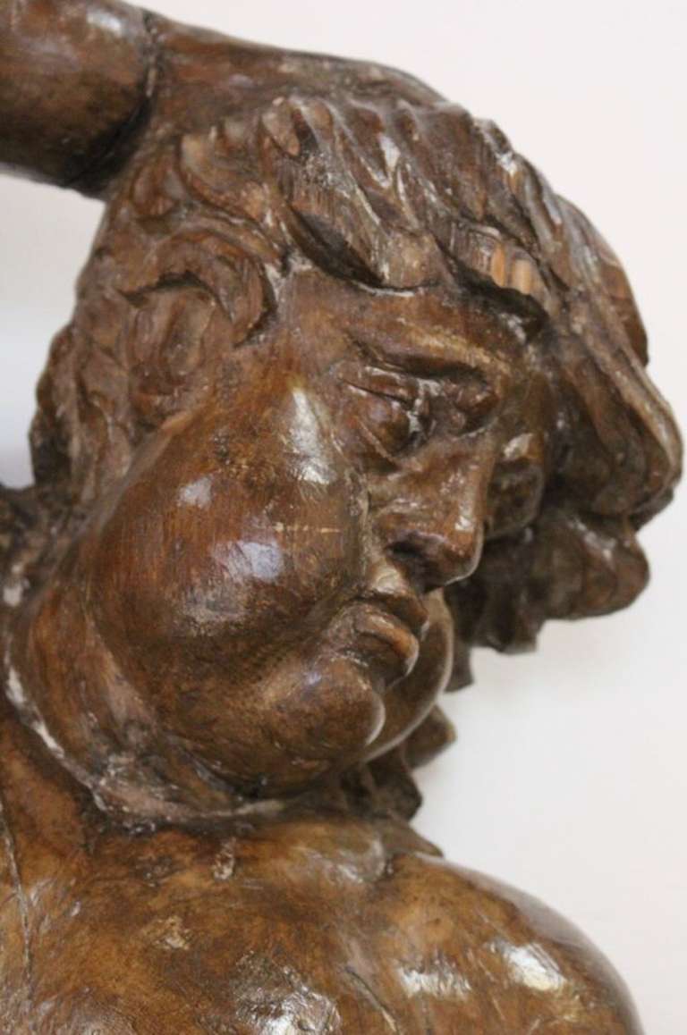 18th Century Carved and Waxed Pine Carving of Putto In Excellent Condition For Sale In Vancouver, BC