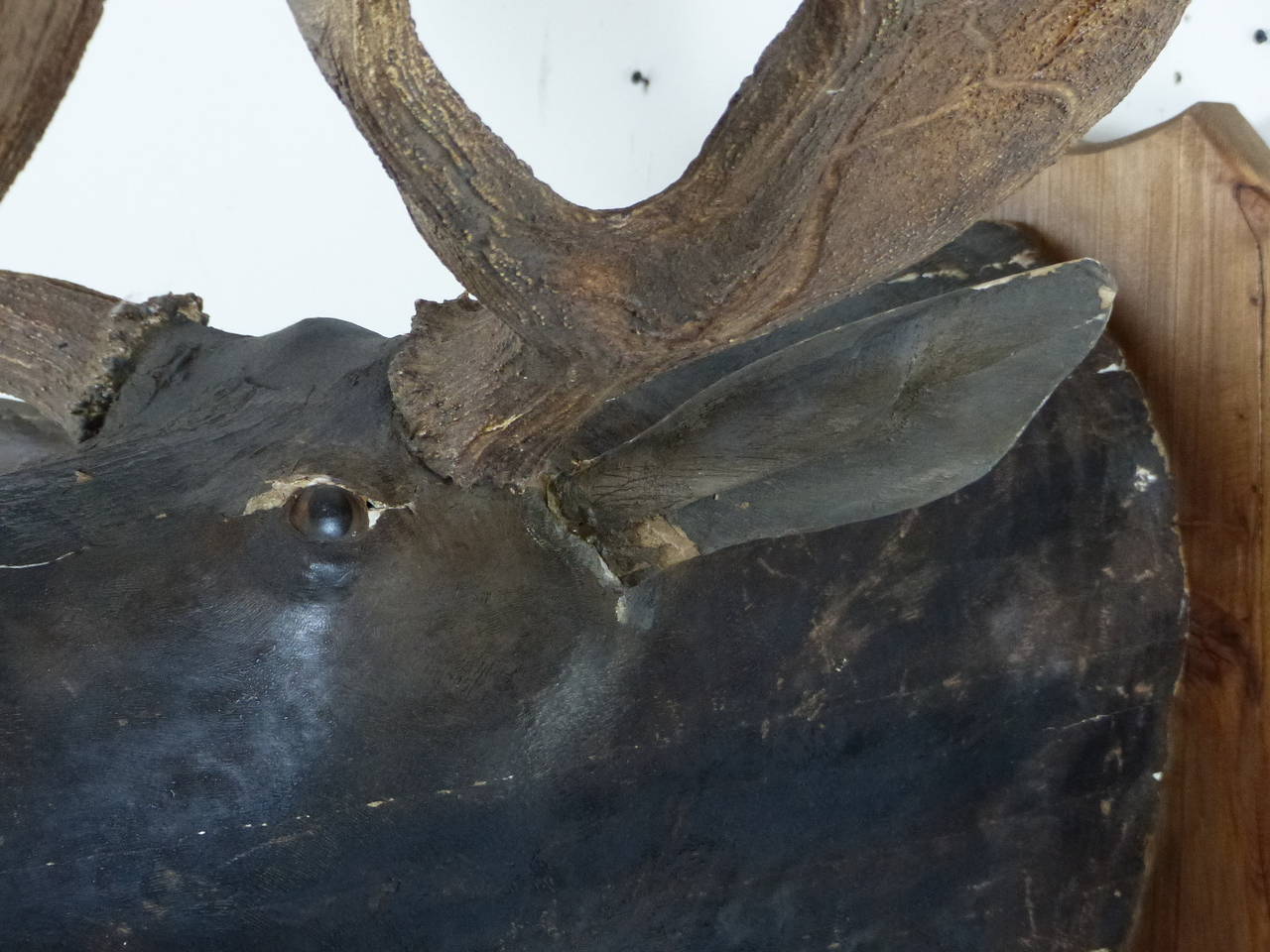 A very interesting hand made carved wooden moose head believed to be attributed to Quebec carver Herbert Thomlinson from Port Neuf.
This example and a few others have surfaced occasionally throughout Quebec.   C1930-50
This is a large set