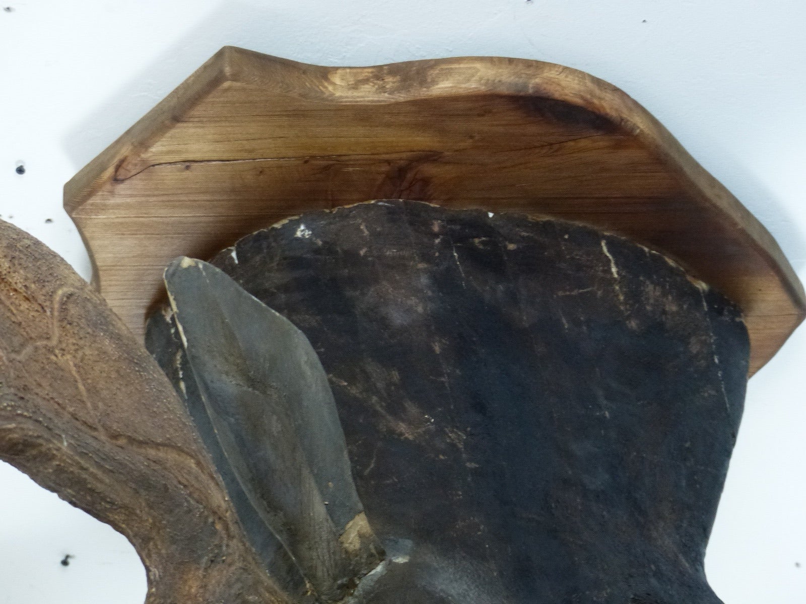 wooden moose head