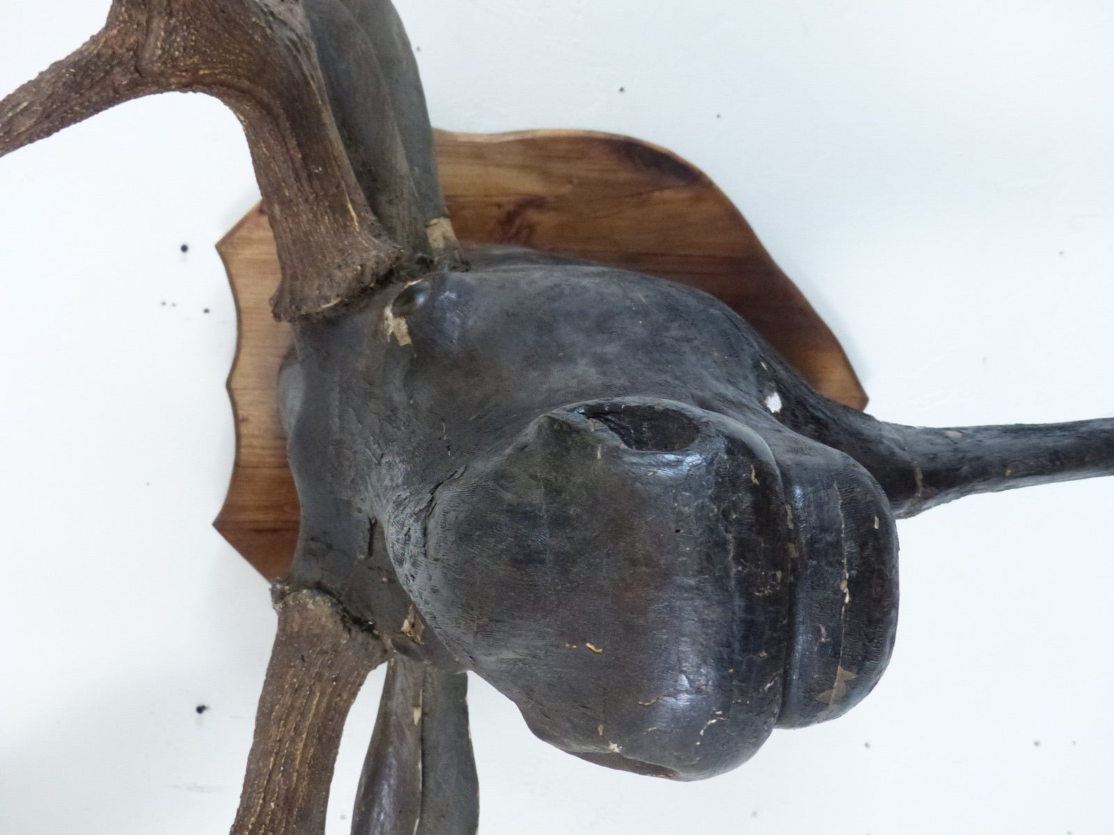 Mid-20th Century 1930 Wooden Carved Moose Head