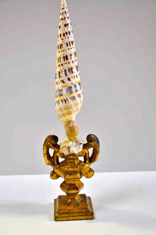 Composition of Spiral Sea Shell Mounted on an 18th C Pedestal