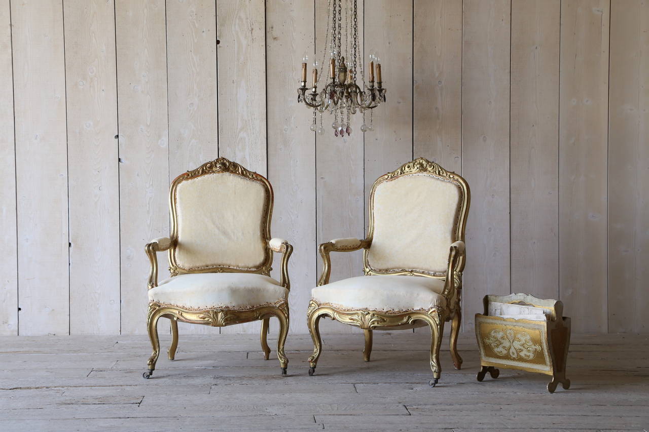 Brilliant pair of antique Louis XV style armchairs finished in a shimmering bright gilt. Stripped to their base upholstery, for a lovely old world feel. Generous proportions and two castered front feet make these armchairs as functional as they are