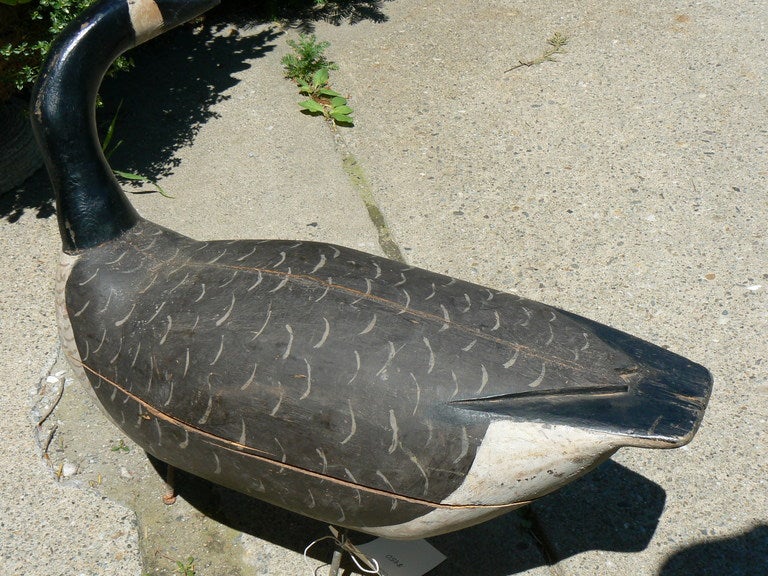goose decoys for sale