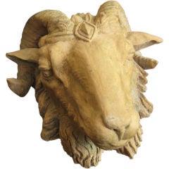 Terracotta Ram's Head