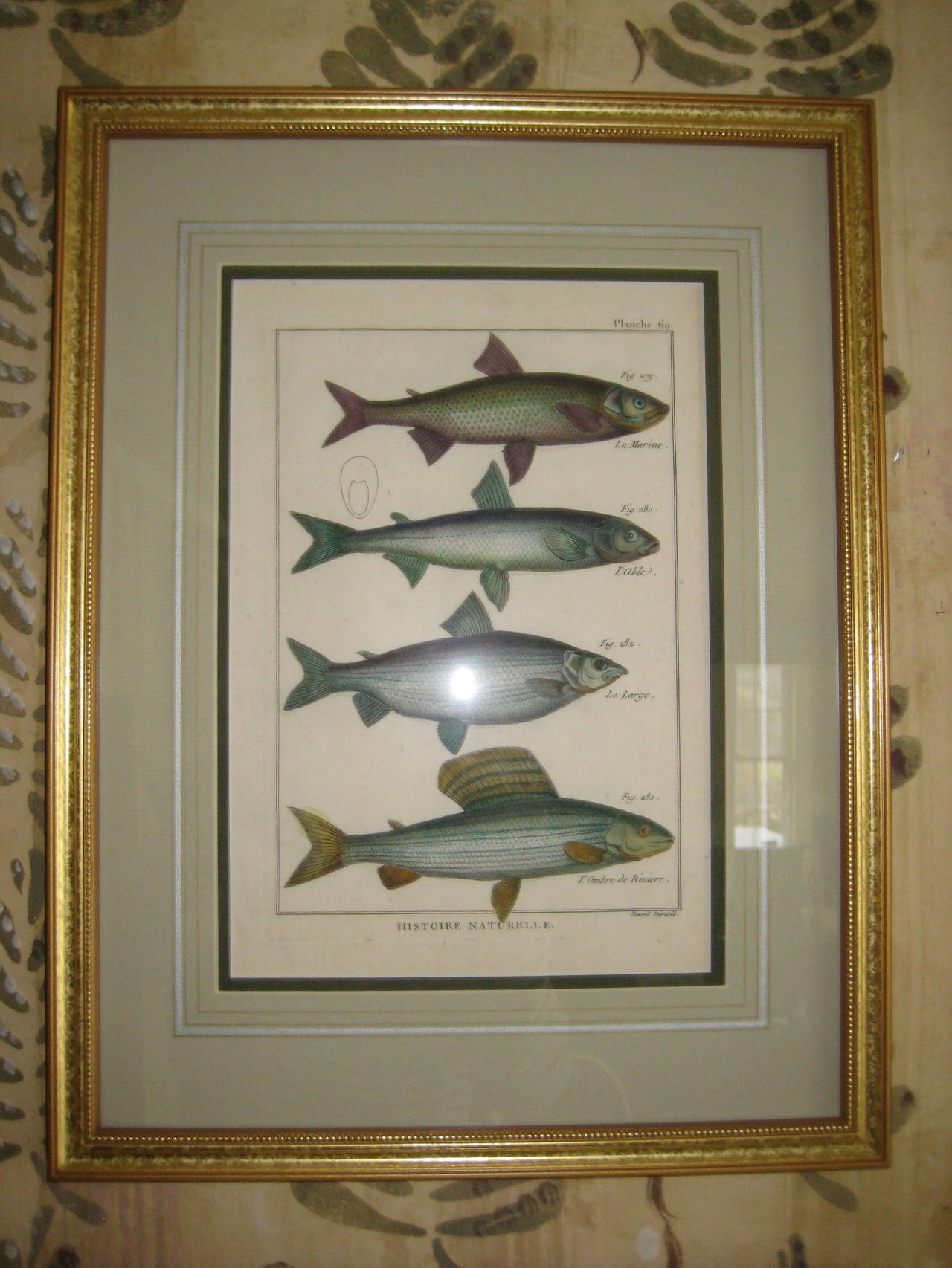 Antique Hand-Colored Prints In Excellent Condition In Nantucket, MA