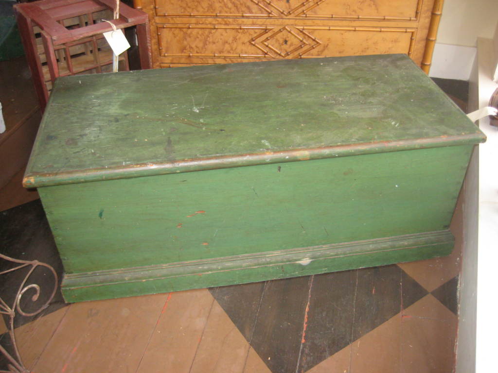 Painted Pine trunk