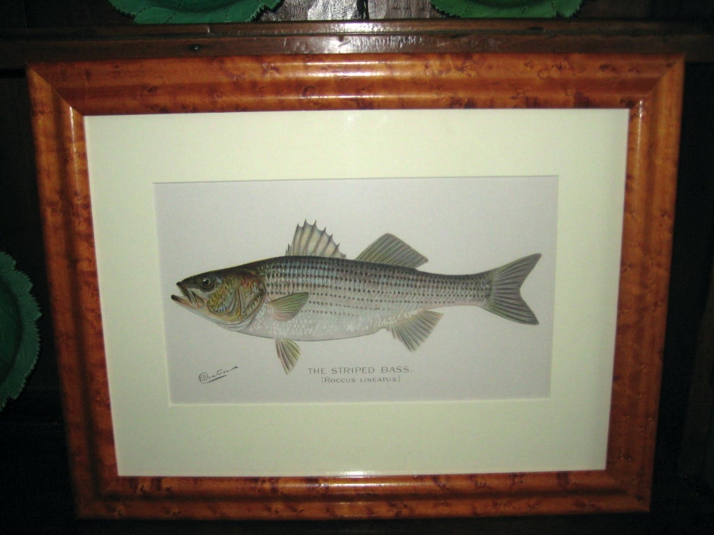 Sherman Denton chromolithograph