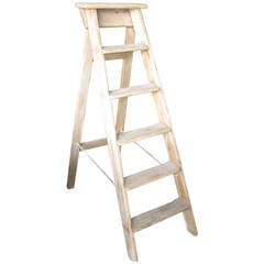 Used Step Ladder