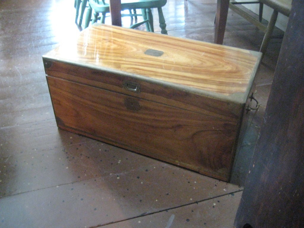 19th Century English Camphorwood Sea Trunk