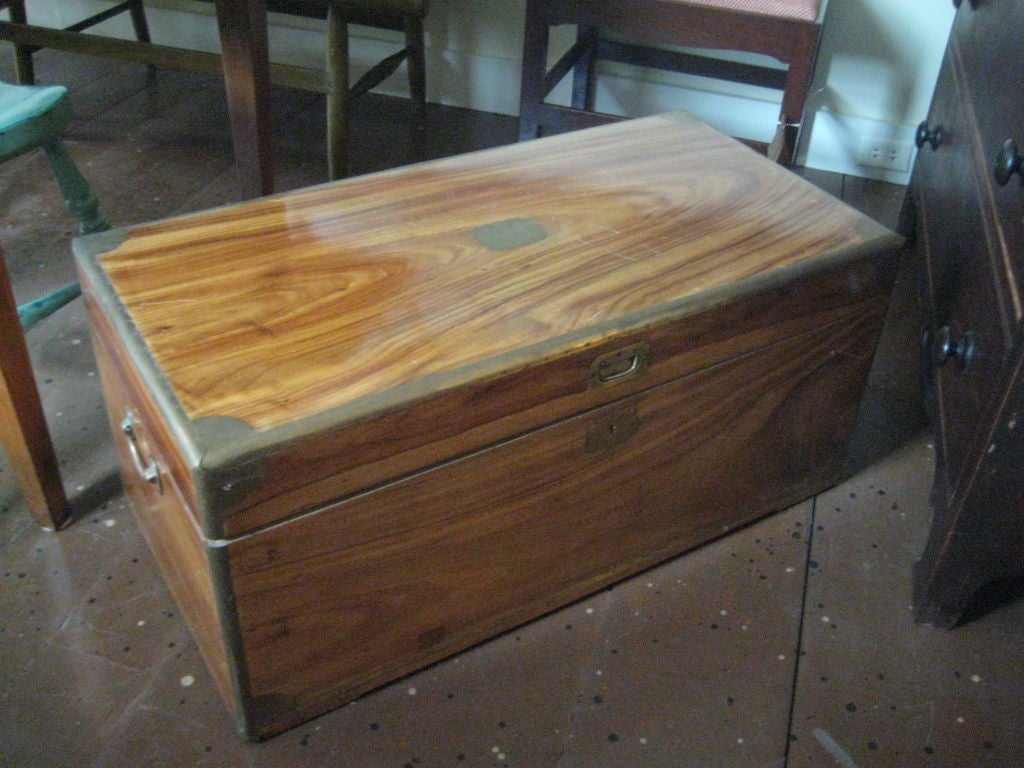 Brass English Camphorwood Sea Trunk