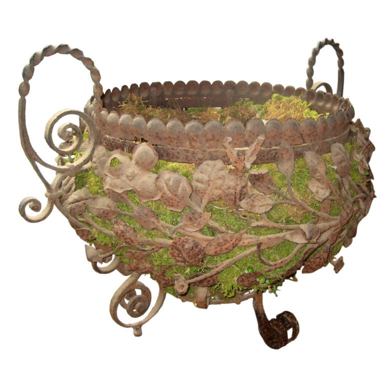 French Iron Jardiniere