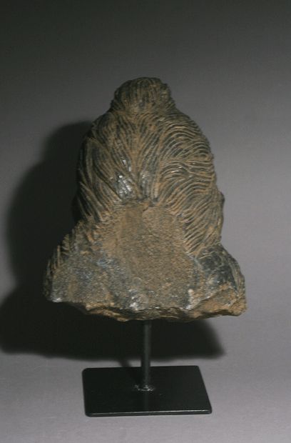 18th Century and Earlier Gandhara Bodhisattva Head Stone Carving