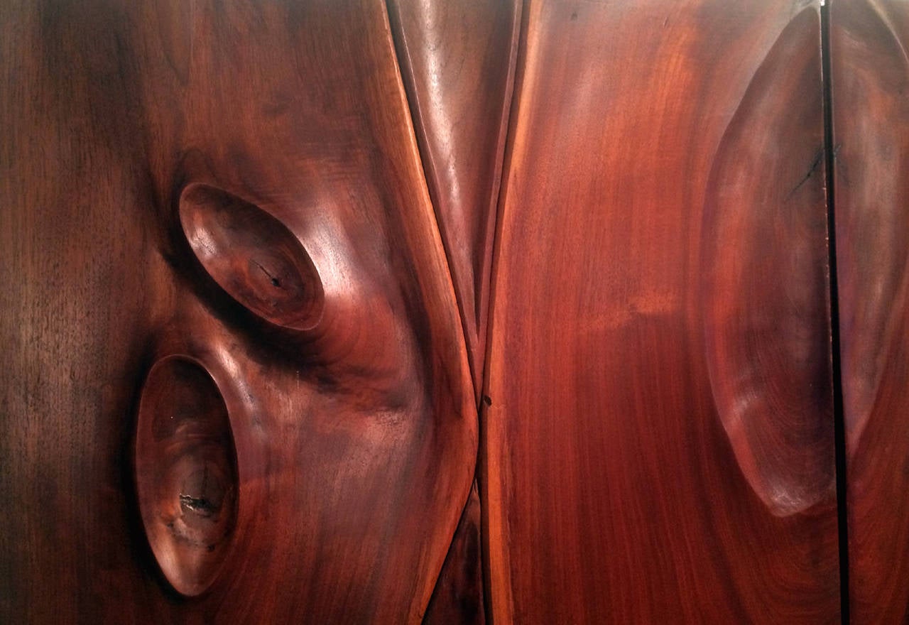Pair of Carved Wood Doors by Phillip Powell In Good Condition For Sale In Atlanta, GA