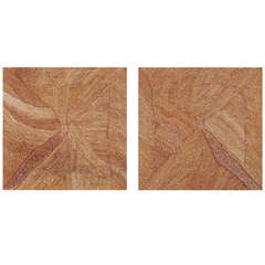 A Rare diptych of "Mountain Devil Lizard Dreaming" by Kathleen Petyarre 4
