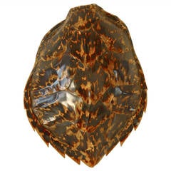 Antique Tortoise Shell