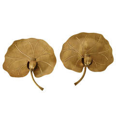 Ginkgo Leaf Sconce