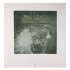 Der Sumpf The Swamp From The Portfolio Of Prints Das Werk By Gustav Klimt 