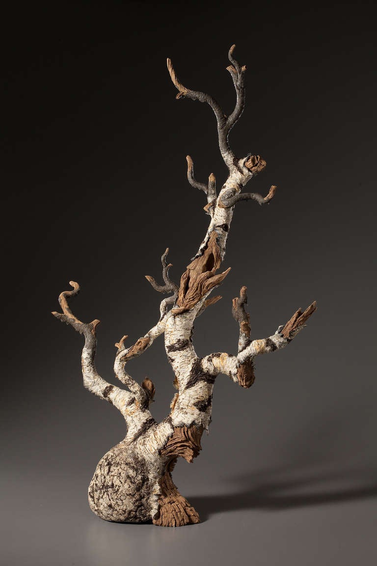 This startling teapot mimics the look of a Bonsai tree Made of Birch.created from meticulously carved stoneware by Eric Serritella. Who creates ceramic trompe l'oeil Works in the Japanese Yixing Style from hand-built and unglazed in clay