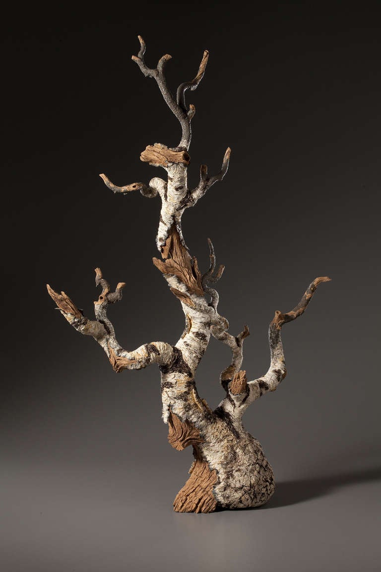 American Ceramic Trompe L'oeil Birch Burl Bonsai Teapot By Eric Serrritella