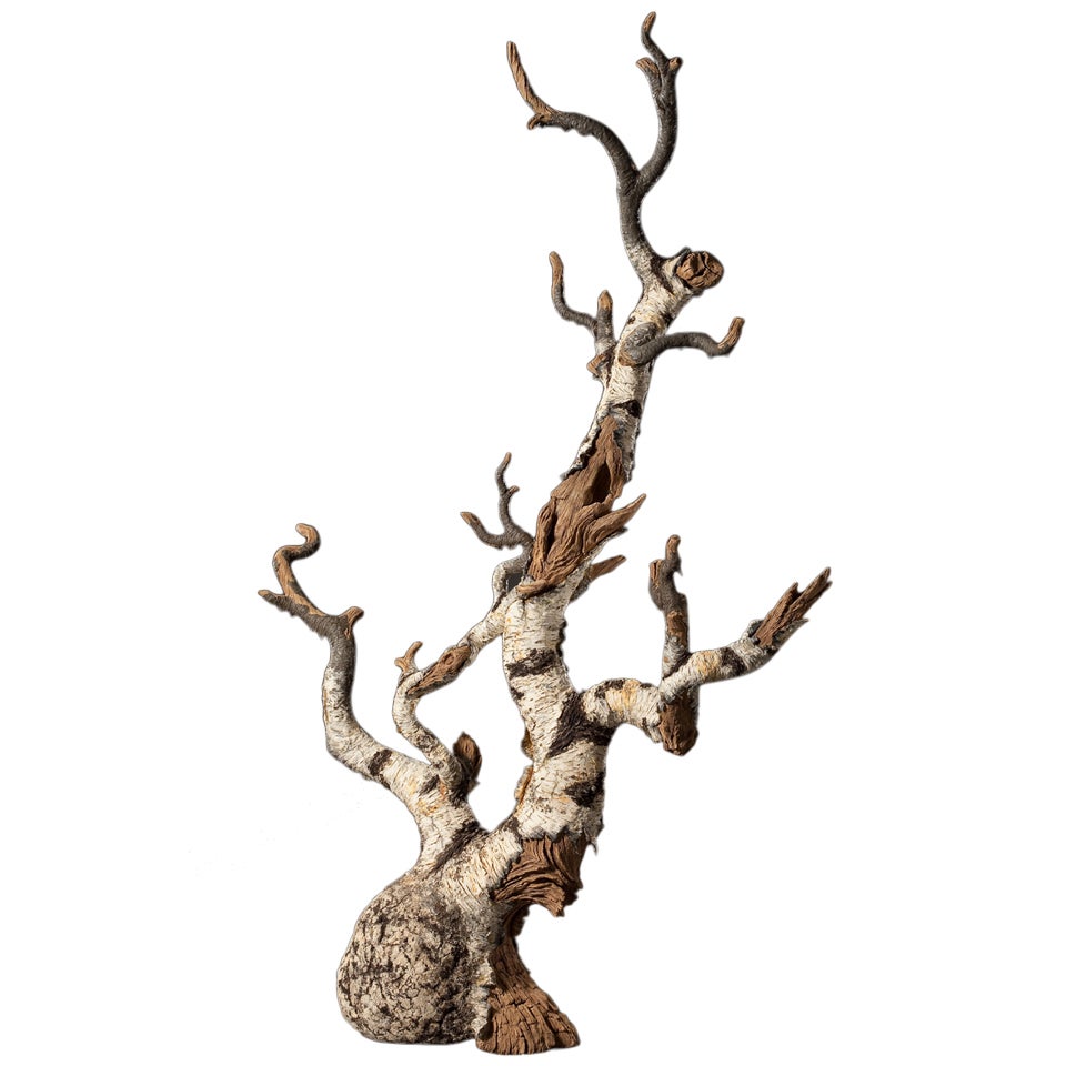 Ceramic Trompe L'oeil Birch Burl Bonsai Teapot By Eric Serrritella